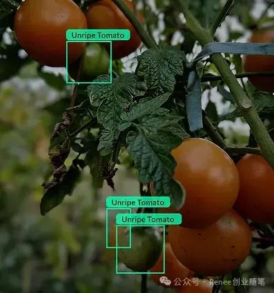 吴恩达最新发布Agent目标检测:Agentic Object Detection