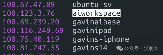 MGX = new MetaGPT_X("开启 AI 软件开发新纪元");  # 万字长文深度解析