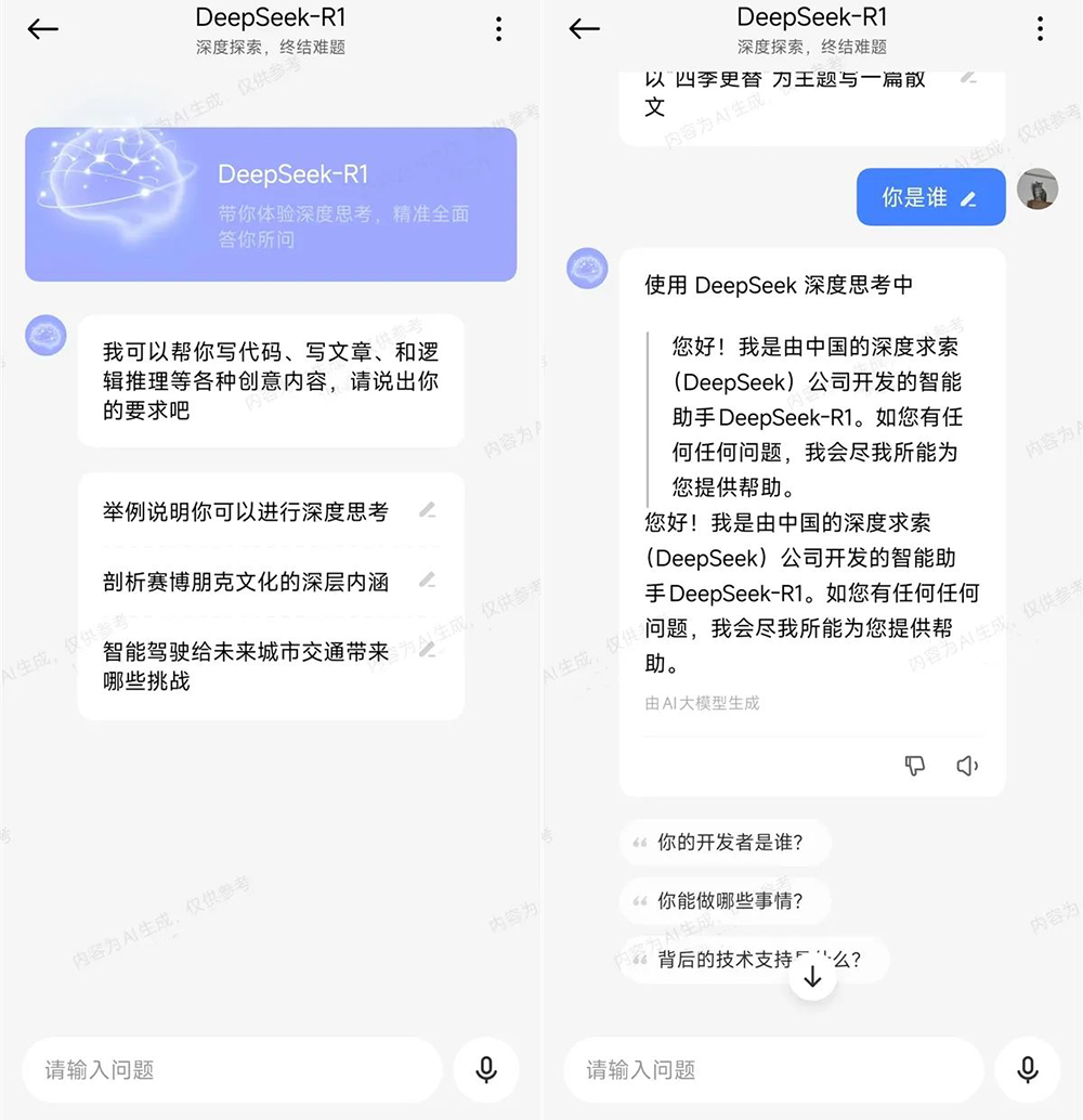 DeepSeek爆火28天,国内大模型同行都在干什么?