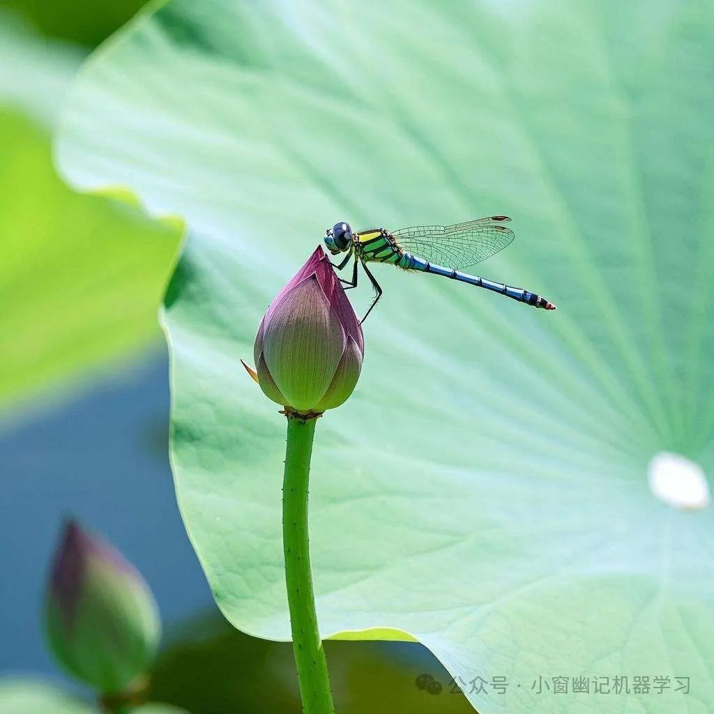 万字长文全面解读YOLO的前世今生：从 YOLO-v1 到 YOLO-v12