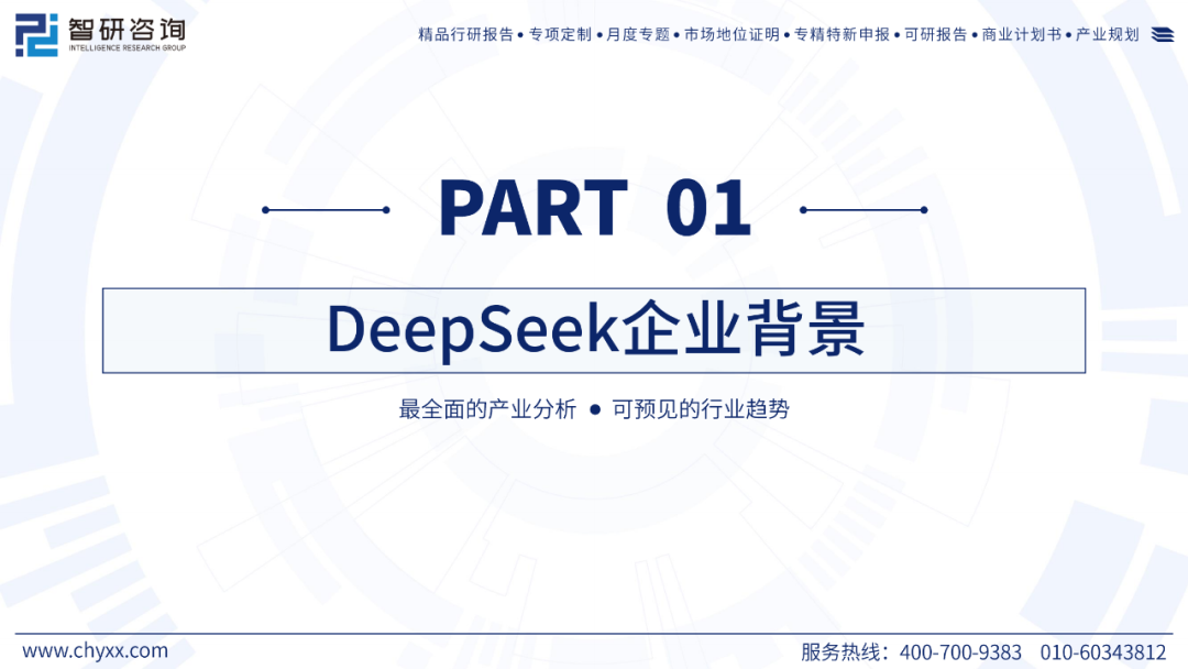 DeepSeek技术全景解析