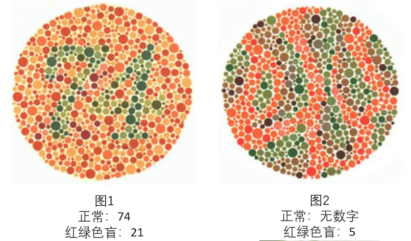 文心一言4.5和X1免费,马上安排实测,来看看效果如何!