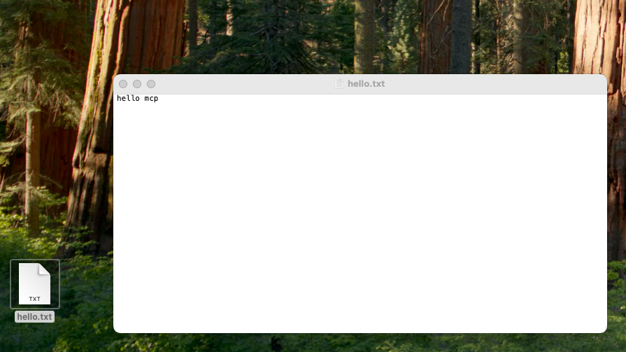null 初识 MCP Server