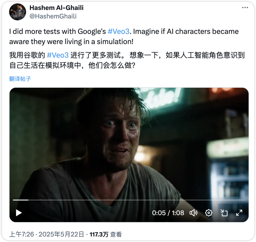 “救救我,改掉这个Prompt!”—谷歌Veo3时代,被Prompt操控的“数字生命”在呐喊(附Prompt思路)