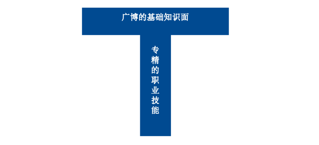 如何构建T型知识体系,平衡广博与专精?