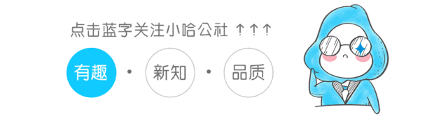 穿透式监管，AI如何助力集团治理？