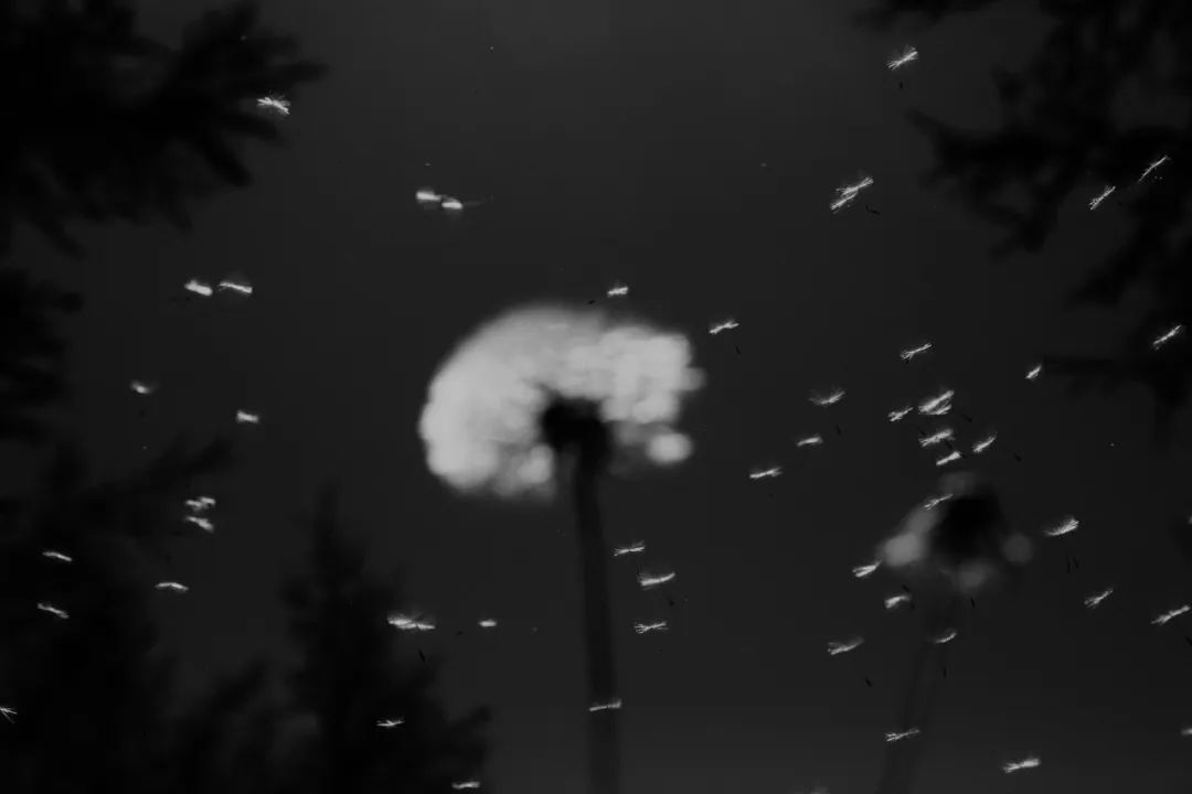 深度拆解：为什么通用 Agent 的下一站是 Agentic Browser？