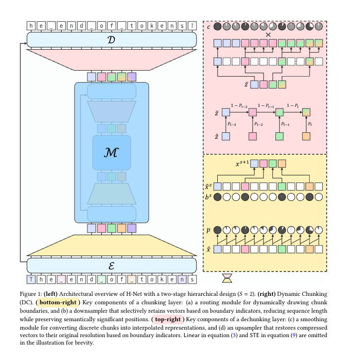用Dynamic chunk去干掉tokenizer?
