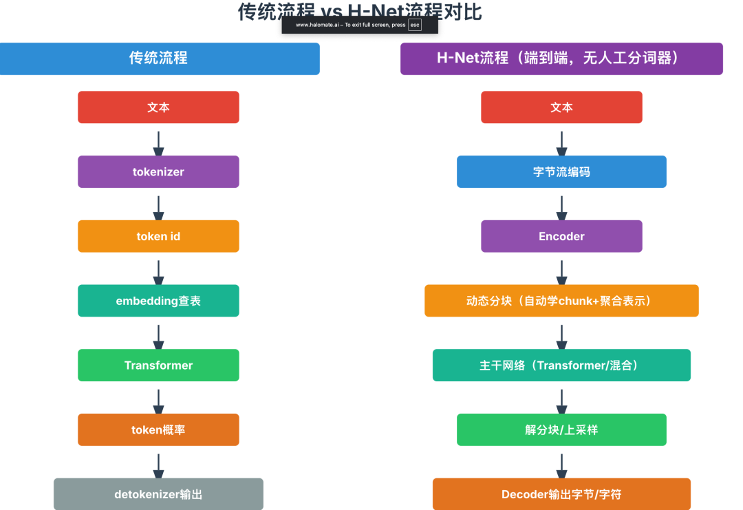 用Dynamic chunk去干掉tokenizer?