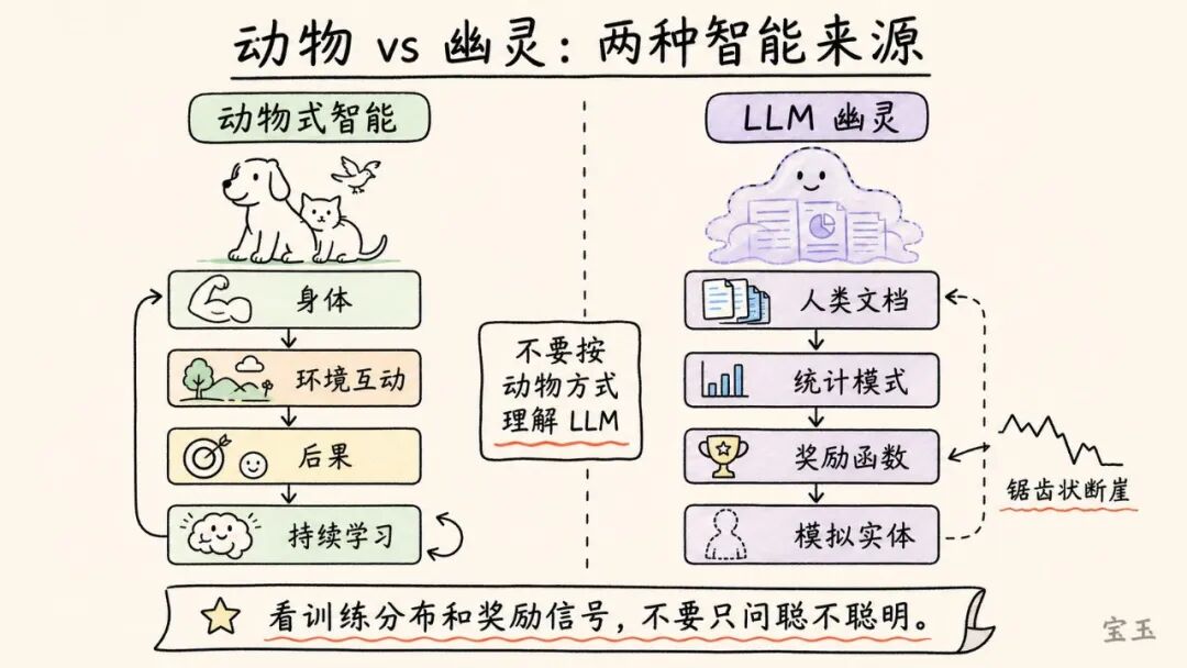 Karpathy 最新访谈:Vibe Coding 只是开始,真正重要的是 Agentic Engineering