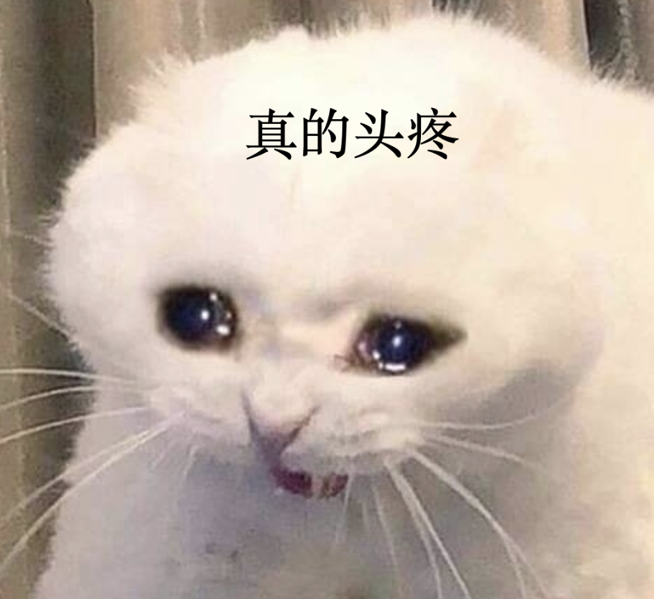 鹅厂员工觉得好的code模型应该具备什么能力?