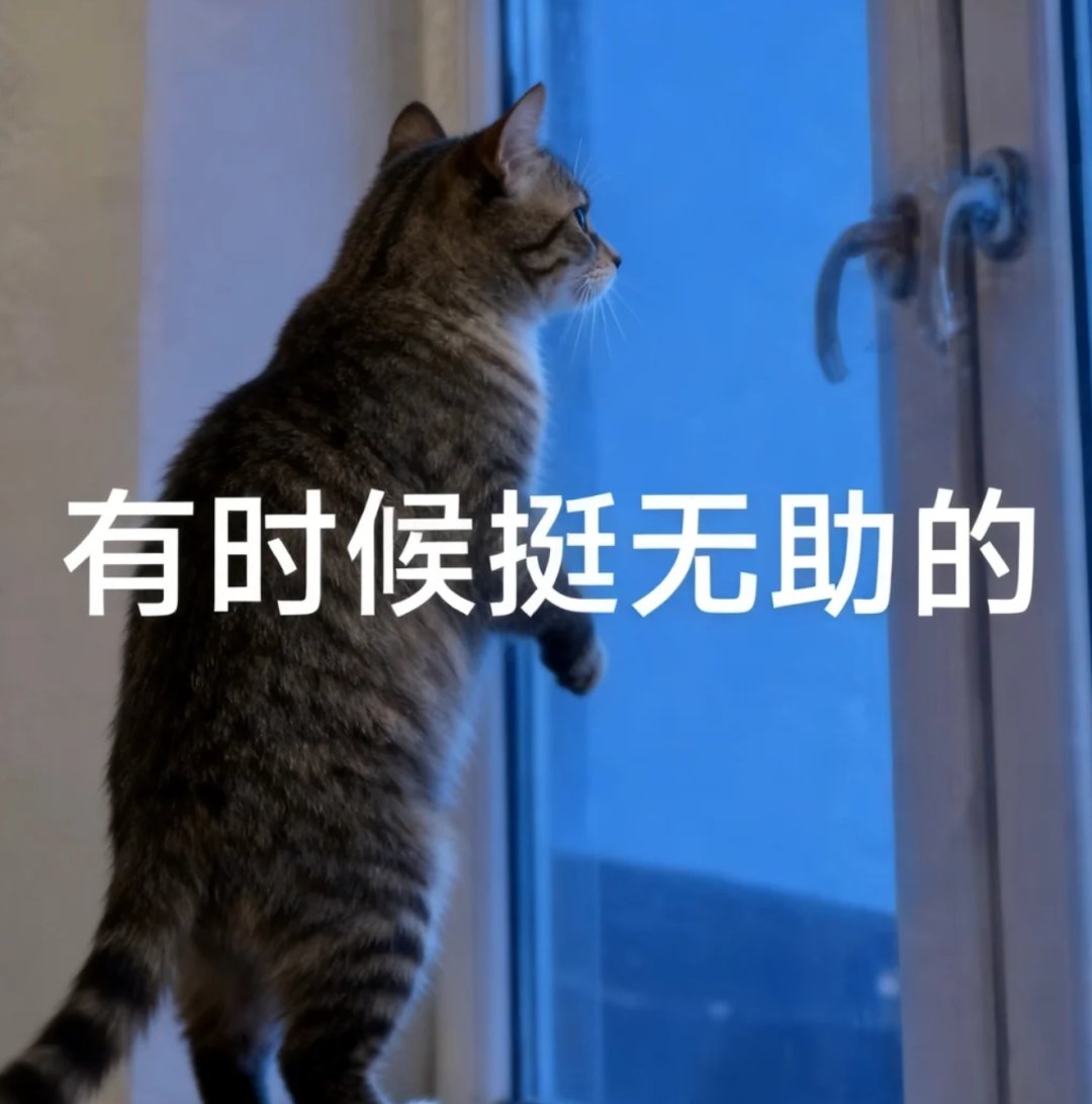 刚刚,国产Agent模型闯入全球第一梯队!限时免费